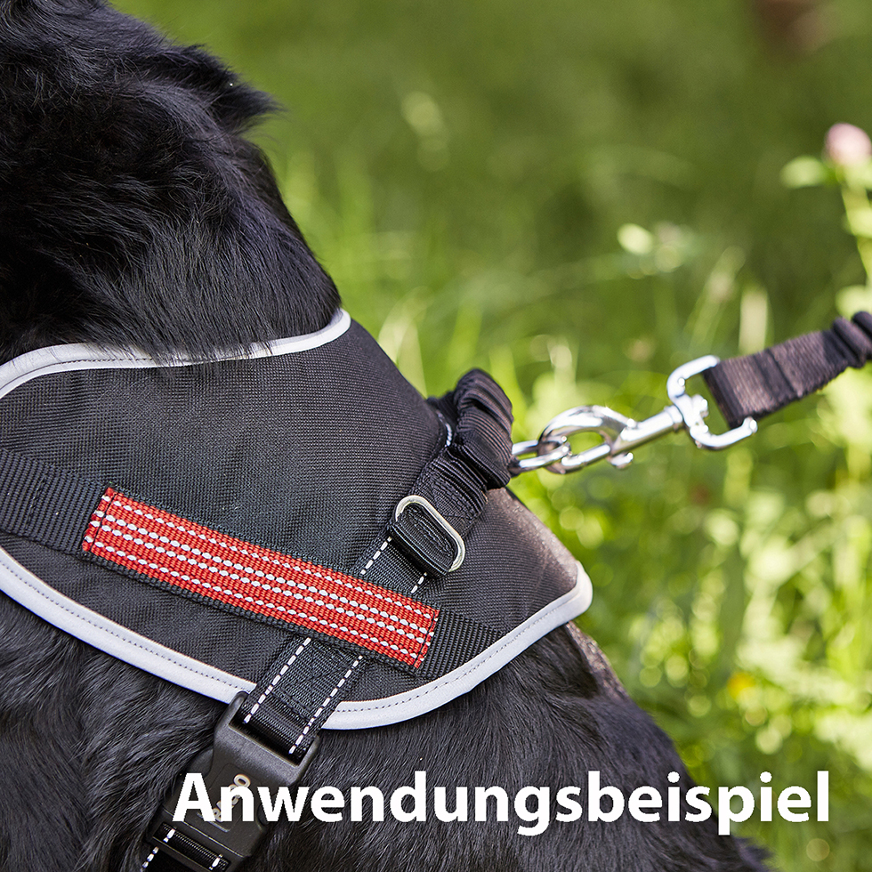 Geschirr + Leine B101 Größe M