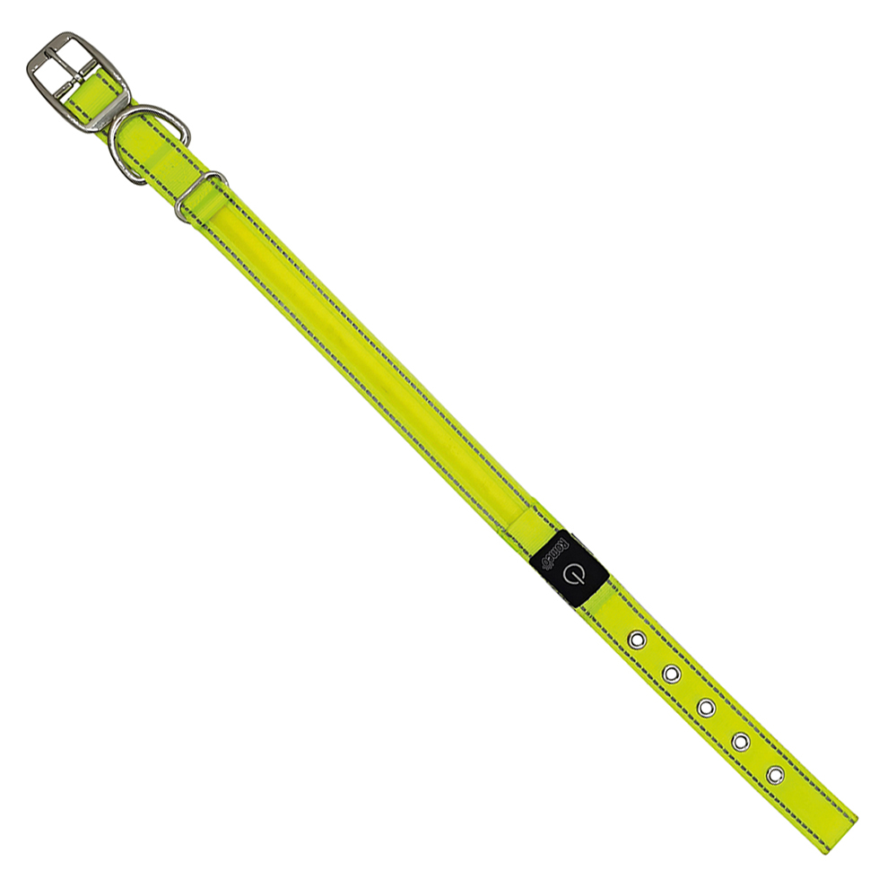 LED Hundehalsband B110 Größe M
