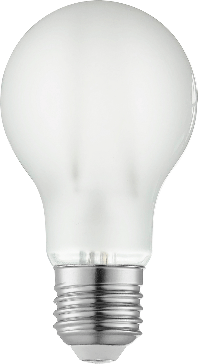 LED-Filament-Leuchtmittel LF19-2