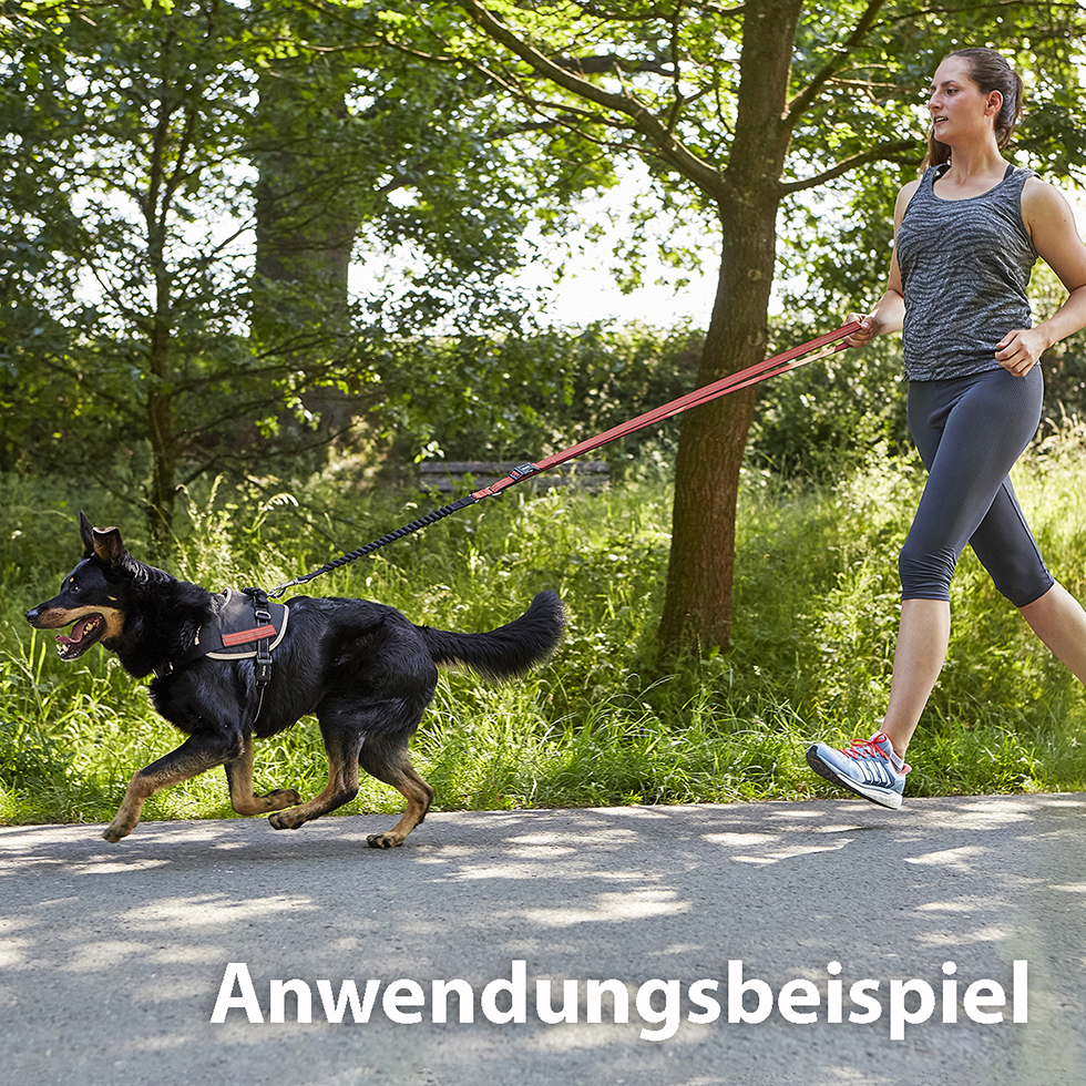 Geschirr + Leine B101 Größe M