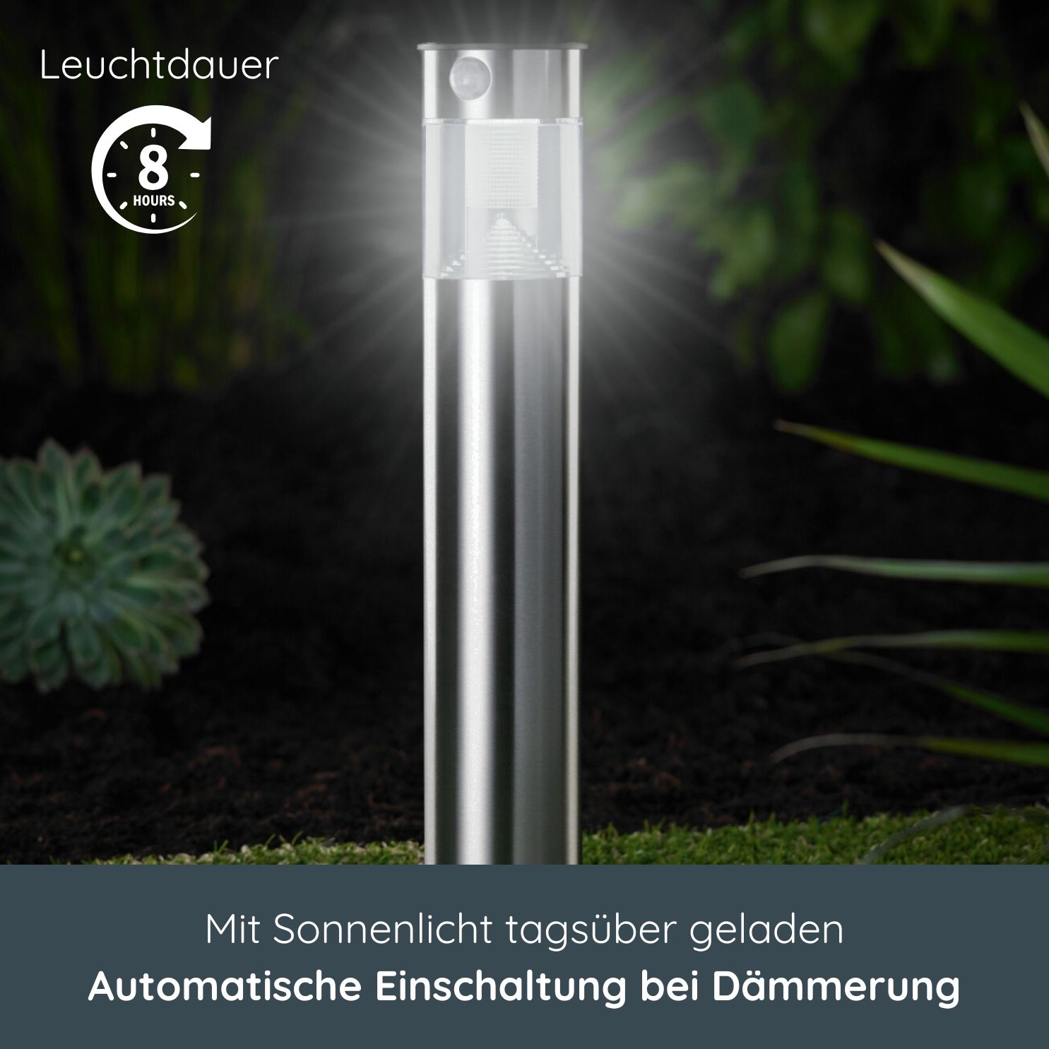 Architektur, Springbrunnen, Wasser, Pflanze, Architektur, Springbrunnen, Wasser, Pflanze,
