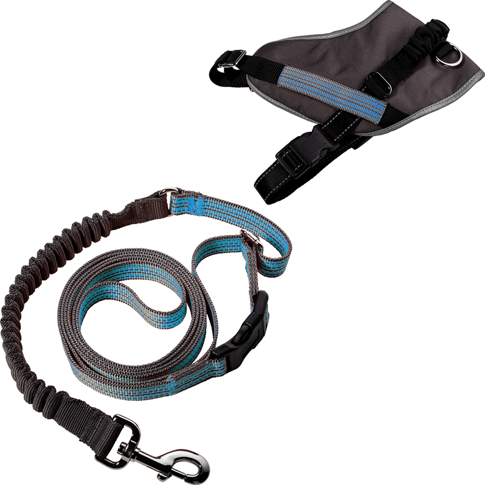 Geschirr + Leine Größe XL B102 blau