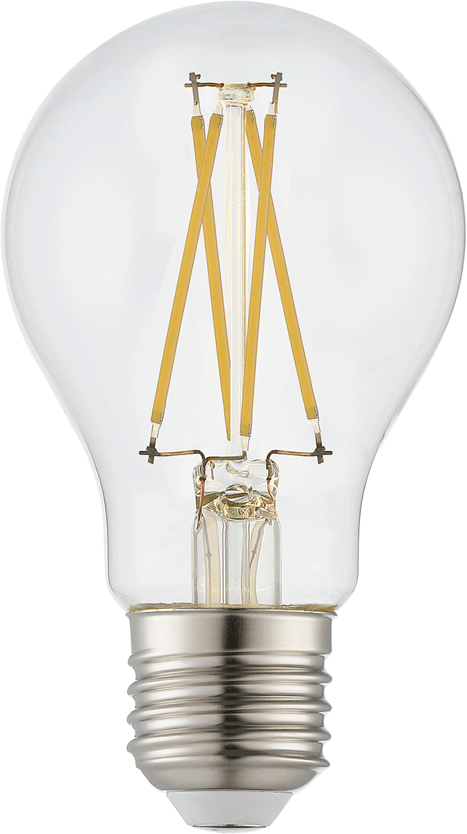 LED-Filament-Leuchtmittel, LF20-2