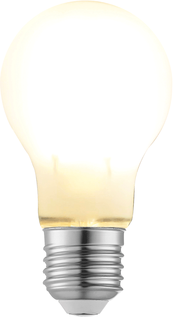 LED Filament Leuchtmittel LF21-2 E27, Glass matt LED Filament Leuchtmittel LF21-2 E27, Glass matt