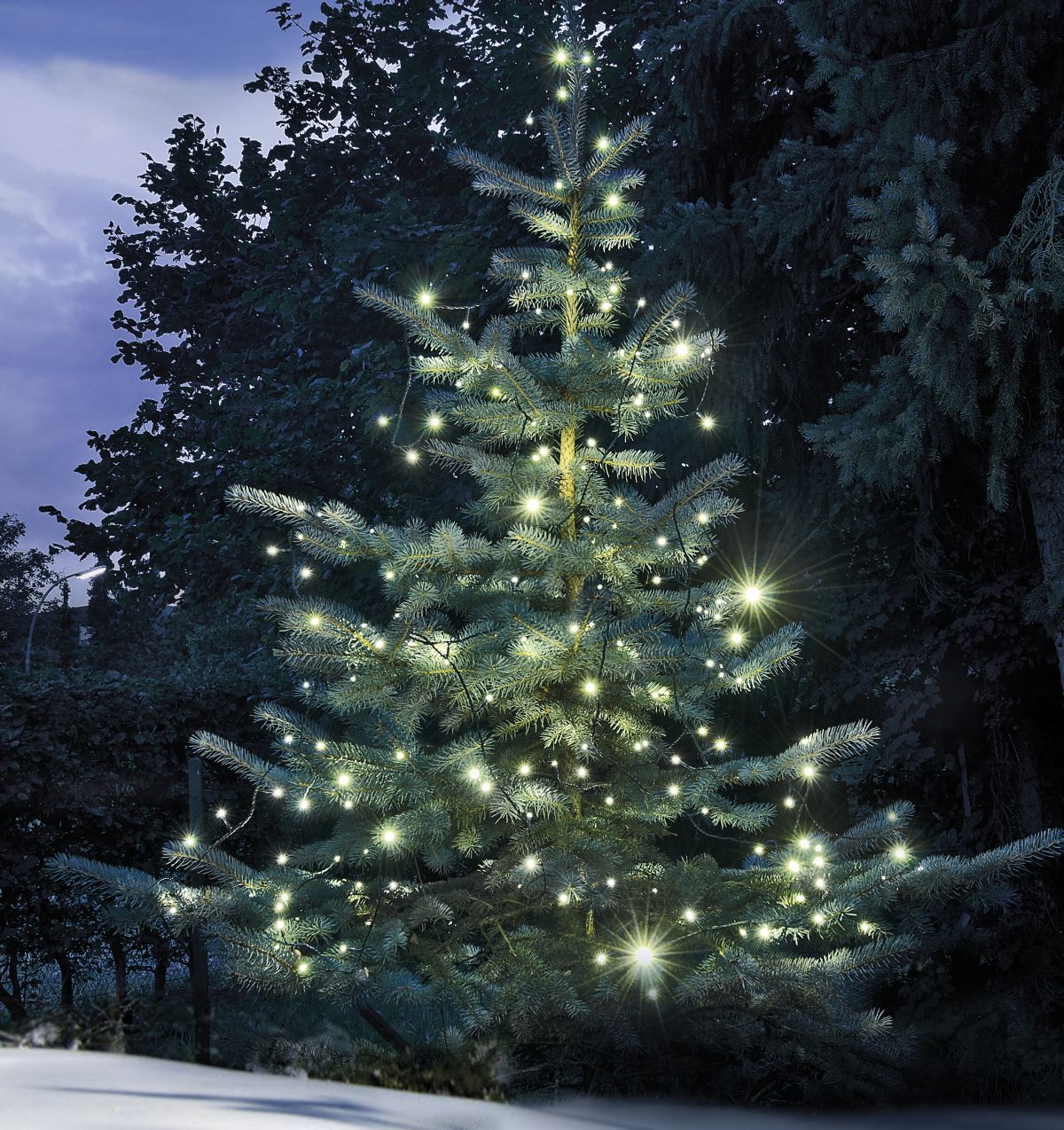 MeLiTec Weihnachtsbeleuchtung MeLiTec Weihnachtsbeleuchtung Symbolbild