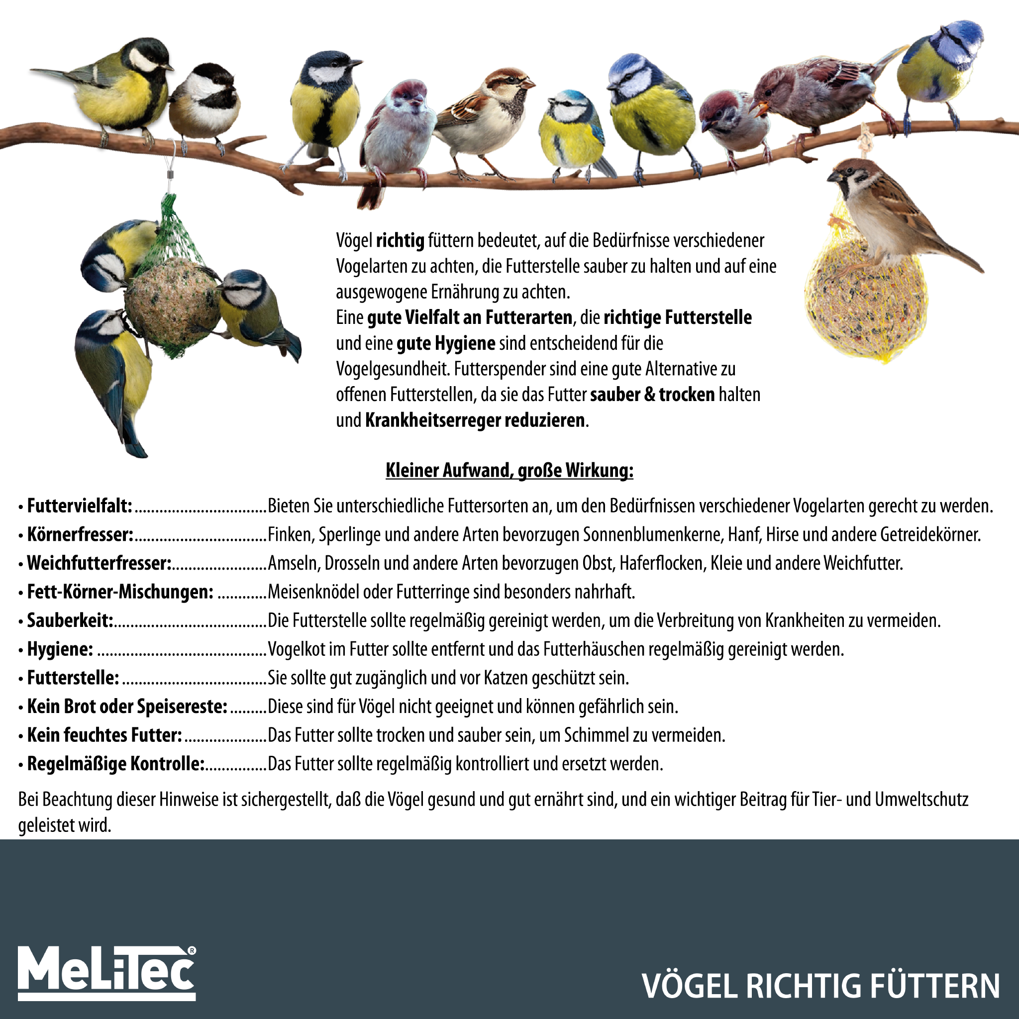 MeLiTec Vogelfutterstation mit Ständer, Vogelhaus VH10-1, Futterstation aus Edelstahl, stehend, 150 cm Höhe, rund Ø14 cm, schwarz matt MeLiTec Vogelfutterstation mit Ständer, Vogelhaus VH10-1, Futterstation aus Edelstahl, stehend, 150 cm Höhe, rund Ø14 cm, schwarz matt