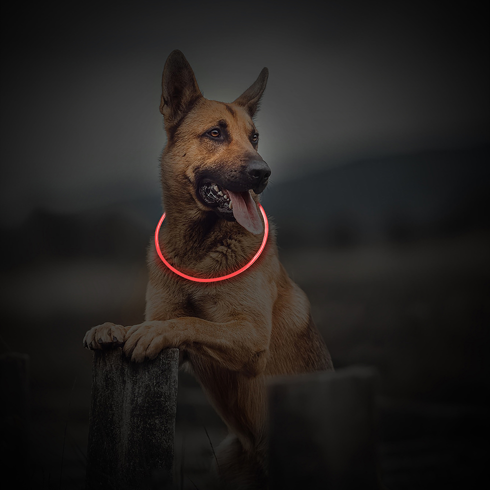 LED Leuchtband B114 rot