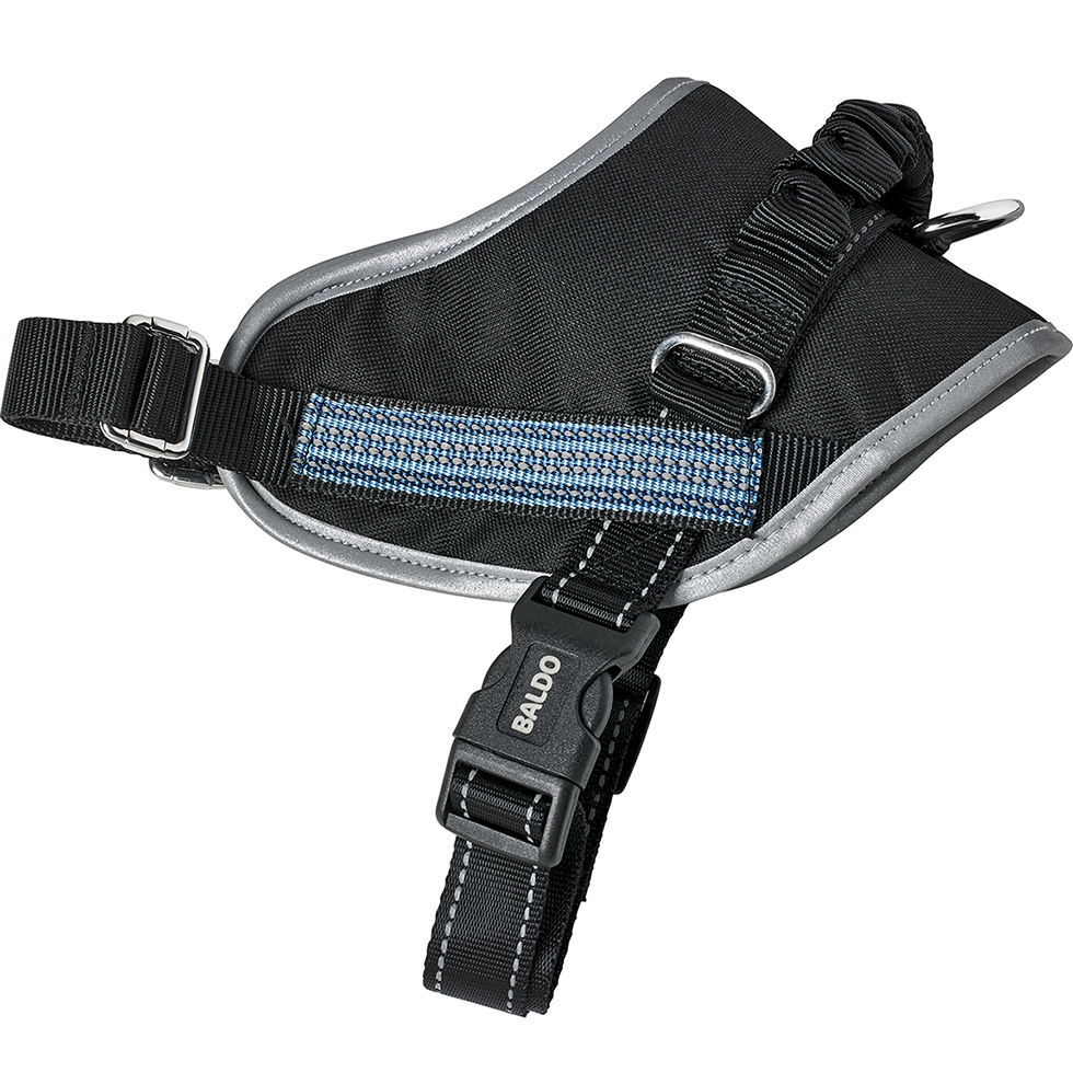 Geschirr + Leine Größe XL B102 blau