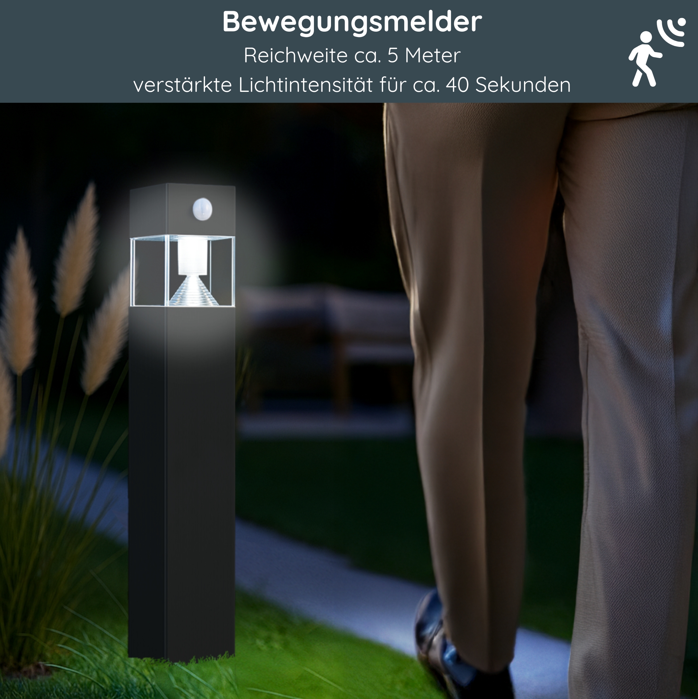 Gras, Person, Gehen, Rasen, Schuh, Gras, Pflanze, Kleidung, Hosen, Gras, Pflanze, Person, Gehen, Hosen, Gras, Beleuchtung, Erwachsener, Mann, Person, Gras, Beleuchtung, Erwachsener, Mann, Person,