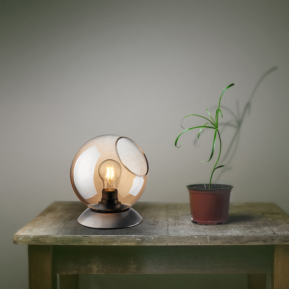 Lampe, Pflanze, Blumen-Arrangement, Ikebana, Lampenschirm,