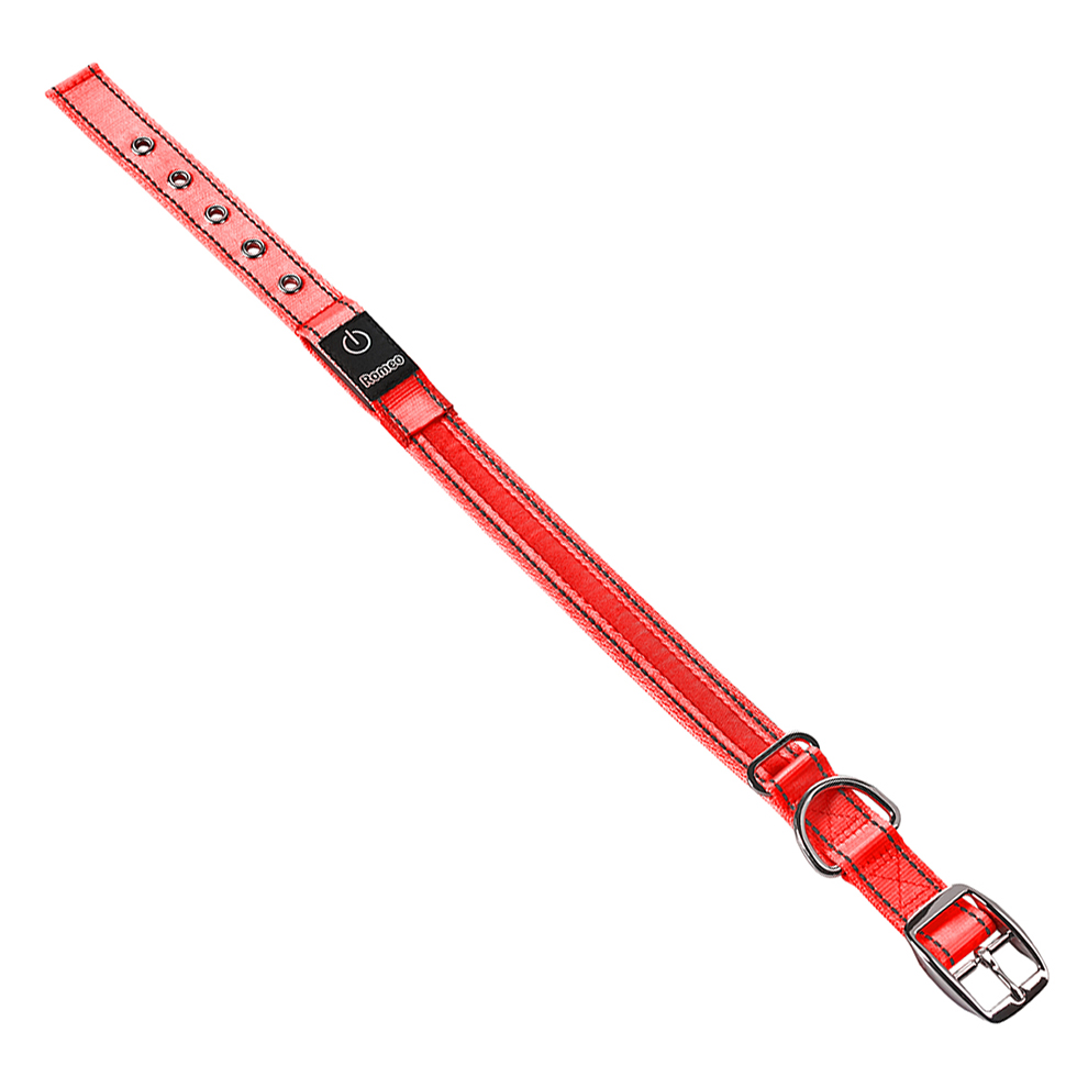 LED Hundehalsband B111 Größe M