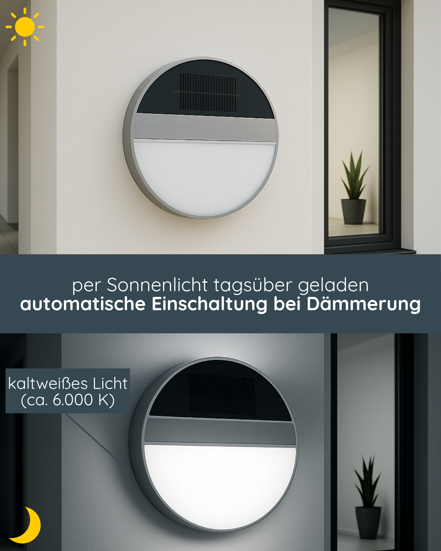 Spiegel, Pflanze, Pflanze im Topf,