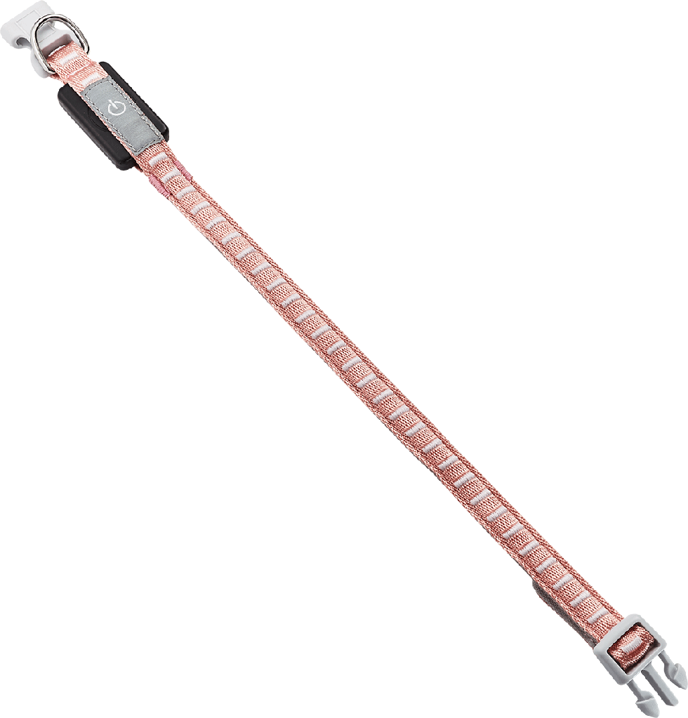 LED Hundehalsband B107 Größe: XS LED Hundehalsband B107 Größe: XS