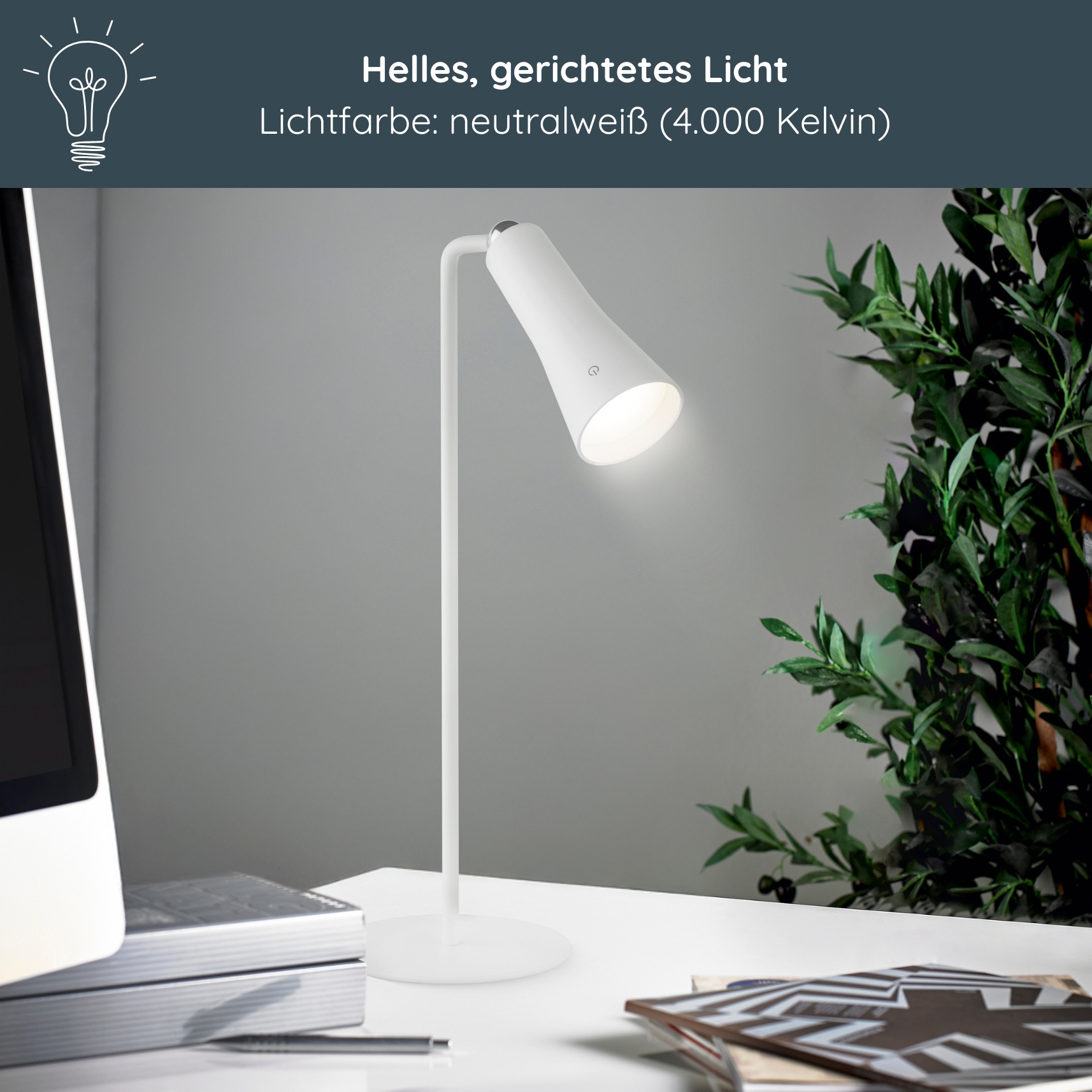 MeLiTec USB Tischleuchte "MeLiMag" mit Klemme, dimmbar, weiß Lampe,