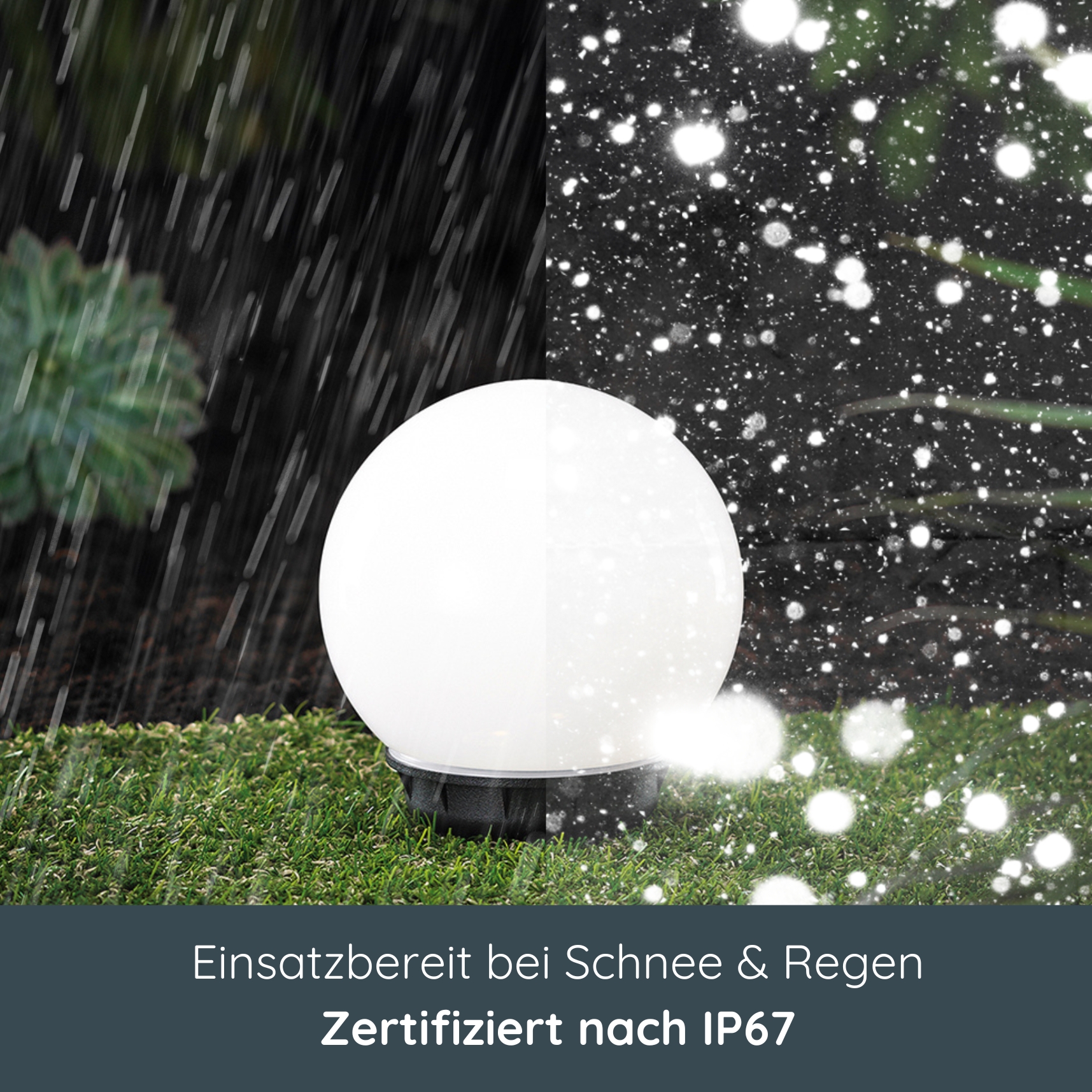 Sphäre, Licht, Pflanze,