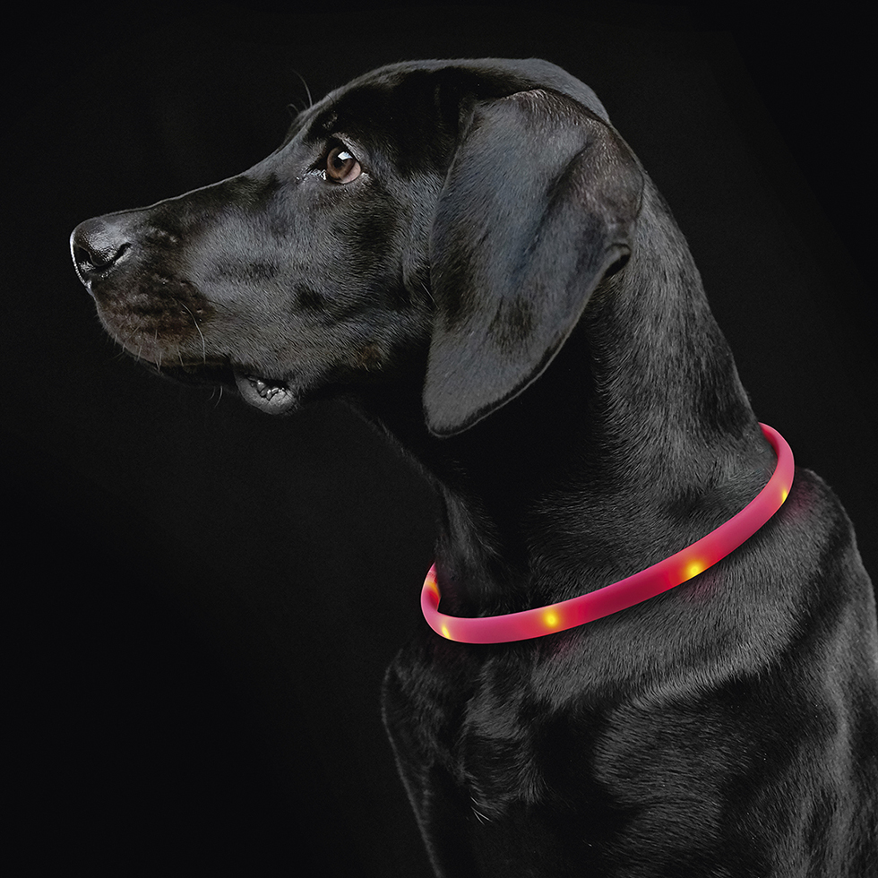LED Leuchtband Schlauch B105 Größe M 45 cm, USB
