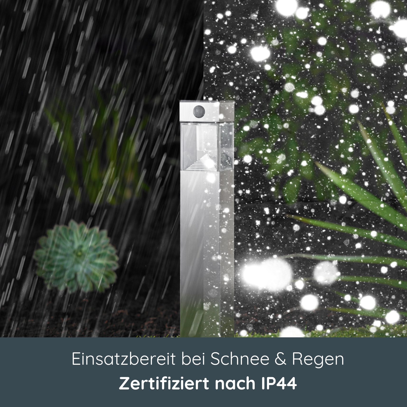 Gras, Pflanze, Rasen, Hinterhof, Hof,