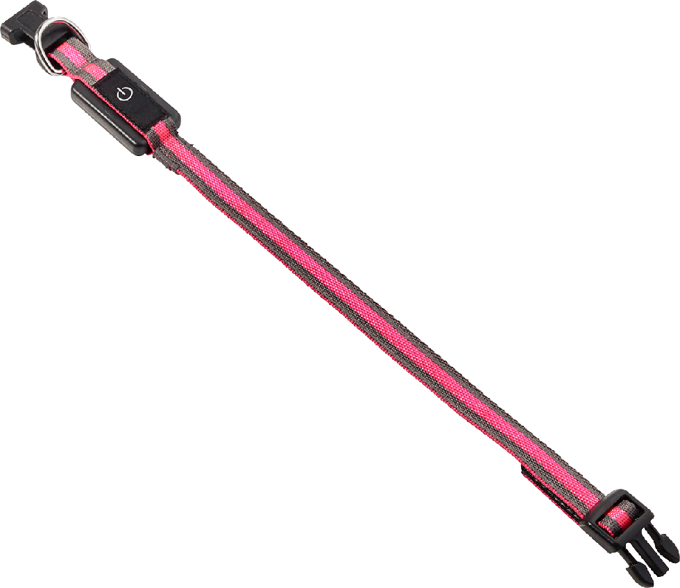 LED Hundehalsband B81 Größe XS LED Hundehalsband B81 Größe XS